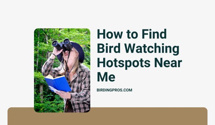 Birdwatching birding people island fire beach