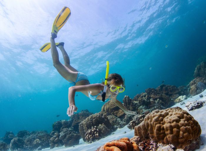 Snorkeling adventures in the Caribbean