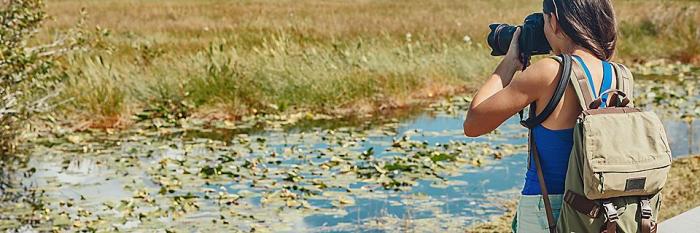 Bird watching hotspots